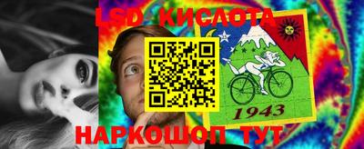 эйфоретик Жуковский