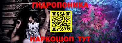 прущие грибы Заволжье