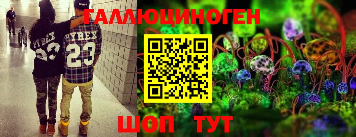 Галлюциногенные грибы Cubensis Звенигород