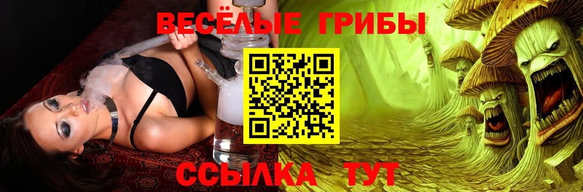Галлюциногенные грибы GOLDEN TEACHER  Галлюциногенные грибы Magic Shrooms  Вход с VPN  Звенигород 